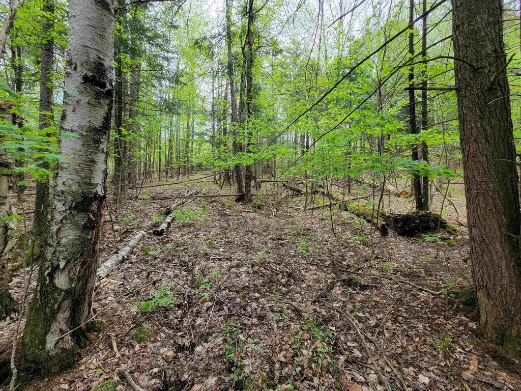 720 Brookview Lane Wolcott VT 05680