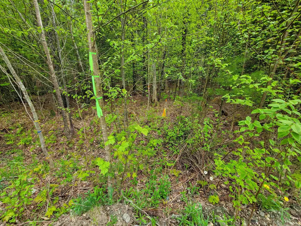 720 Brookview Lane Wolcott VT 05680