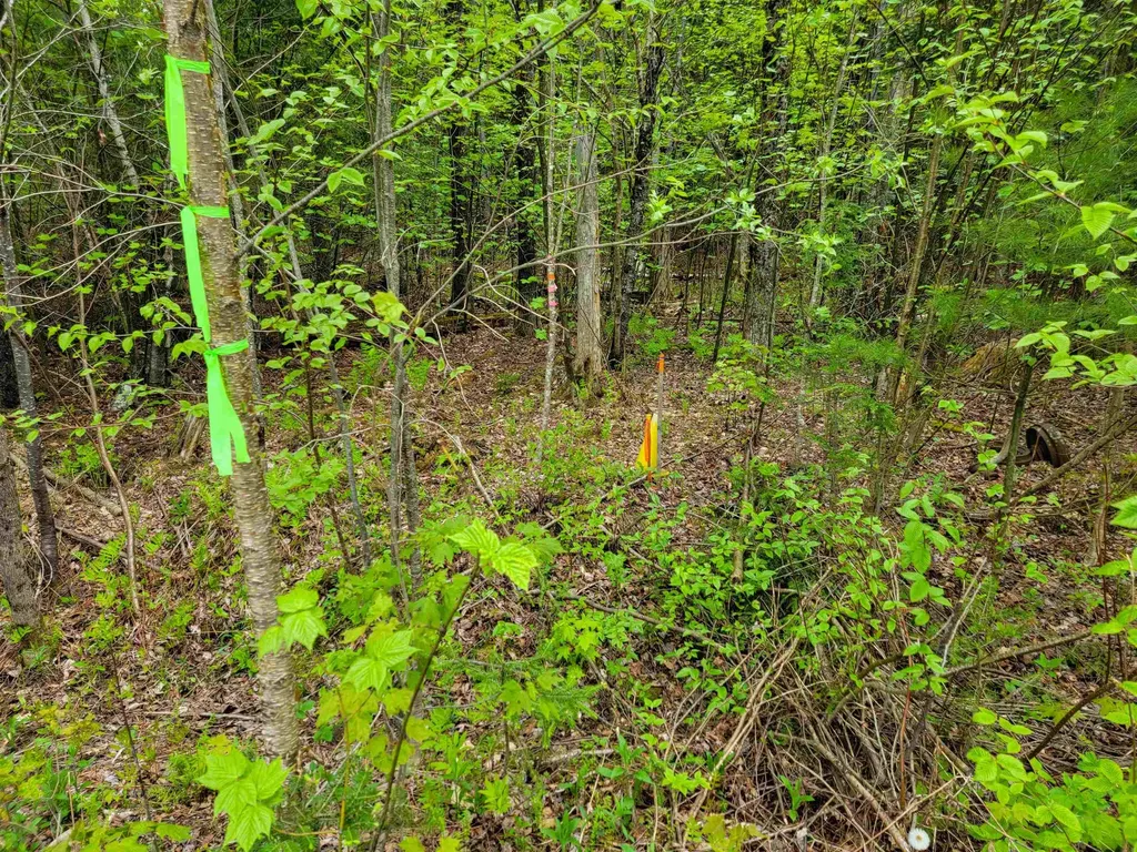 720 Brookview Lane Wolcott VT 05680