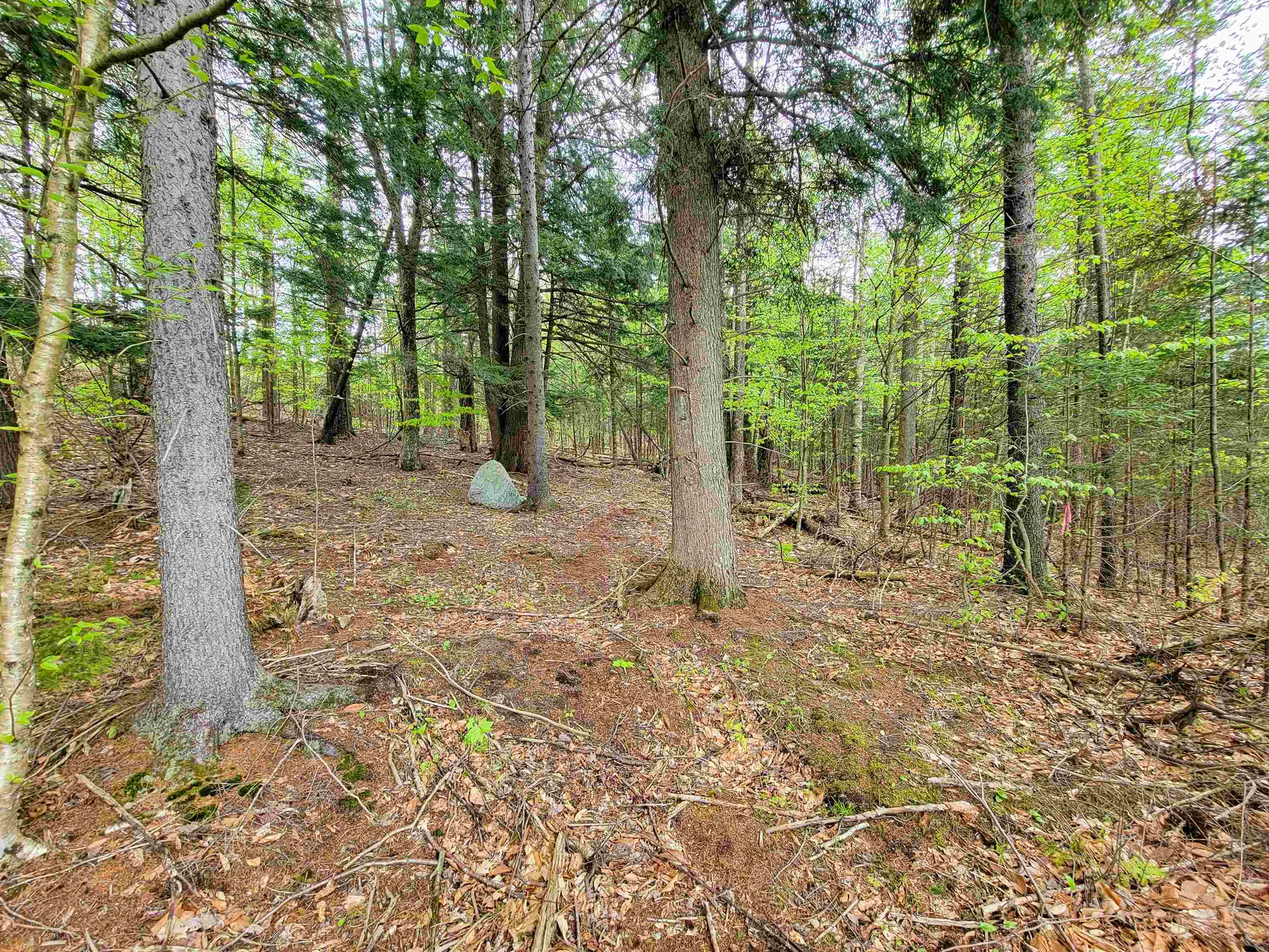 720 Brookview Lane Wolcott VT 05680