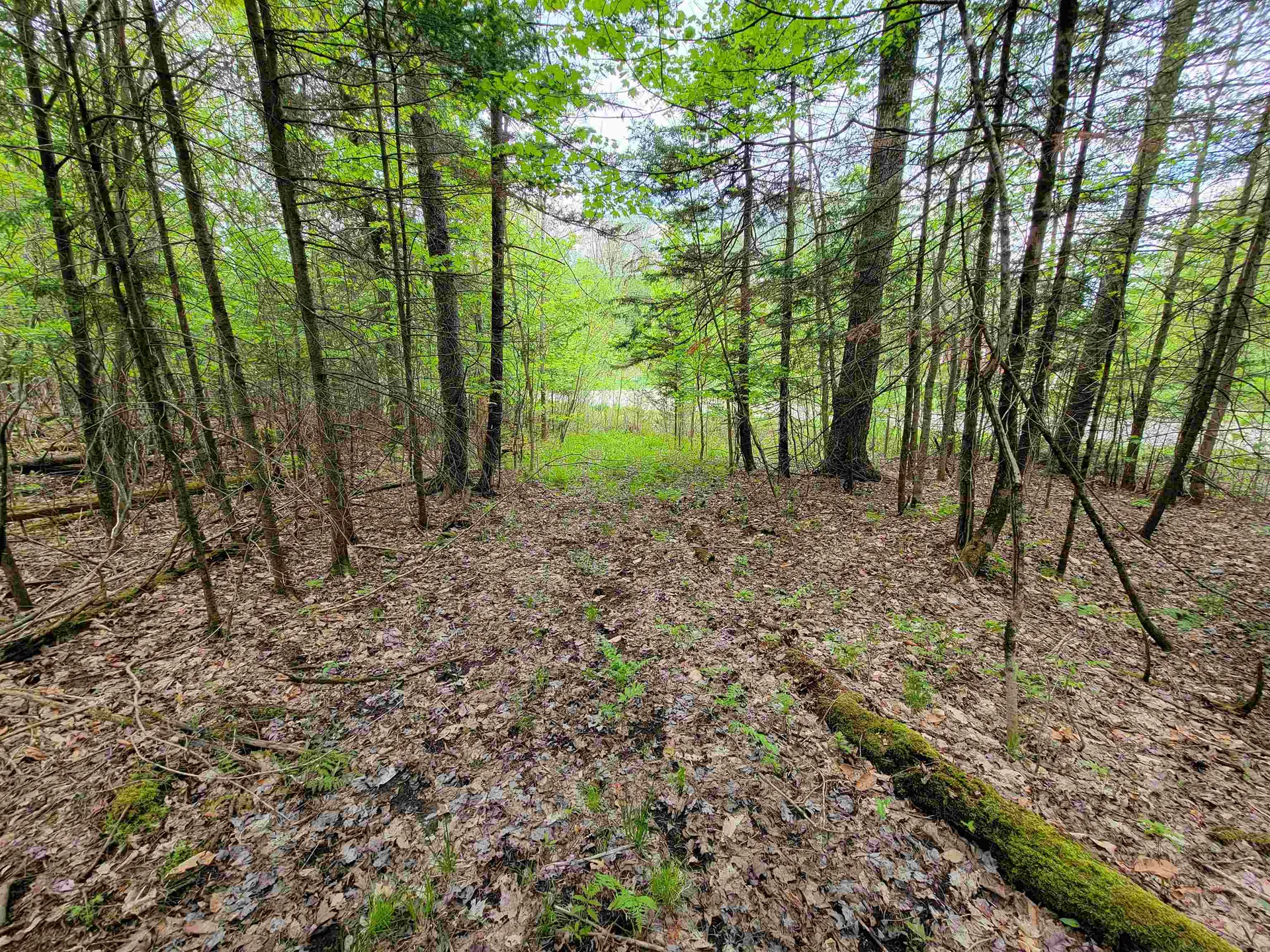 720 Brookview Lane Wolcott VT 05680
