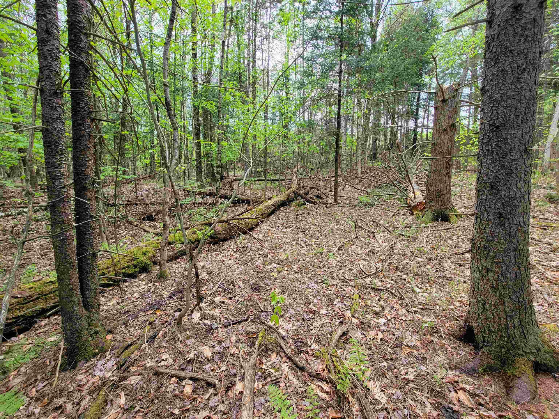 720 Brookview Lane Wolcott VT 05680