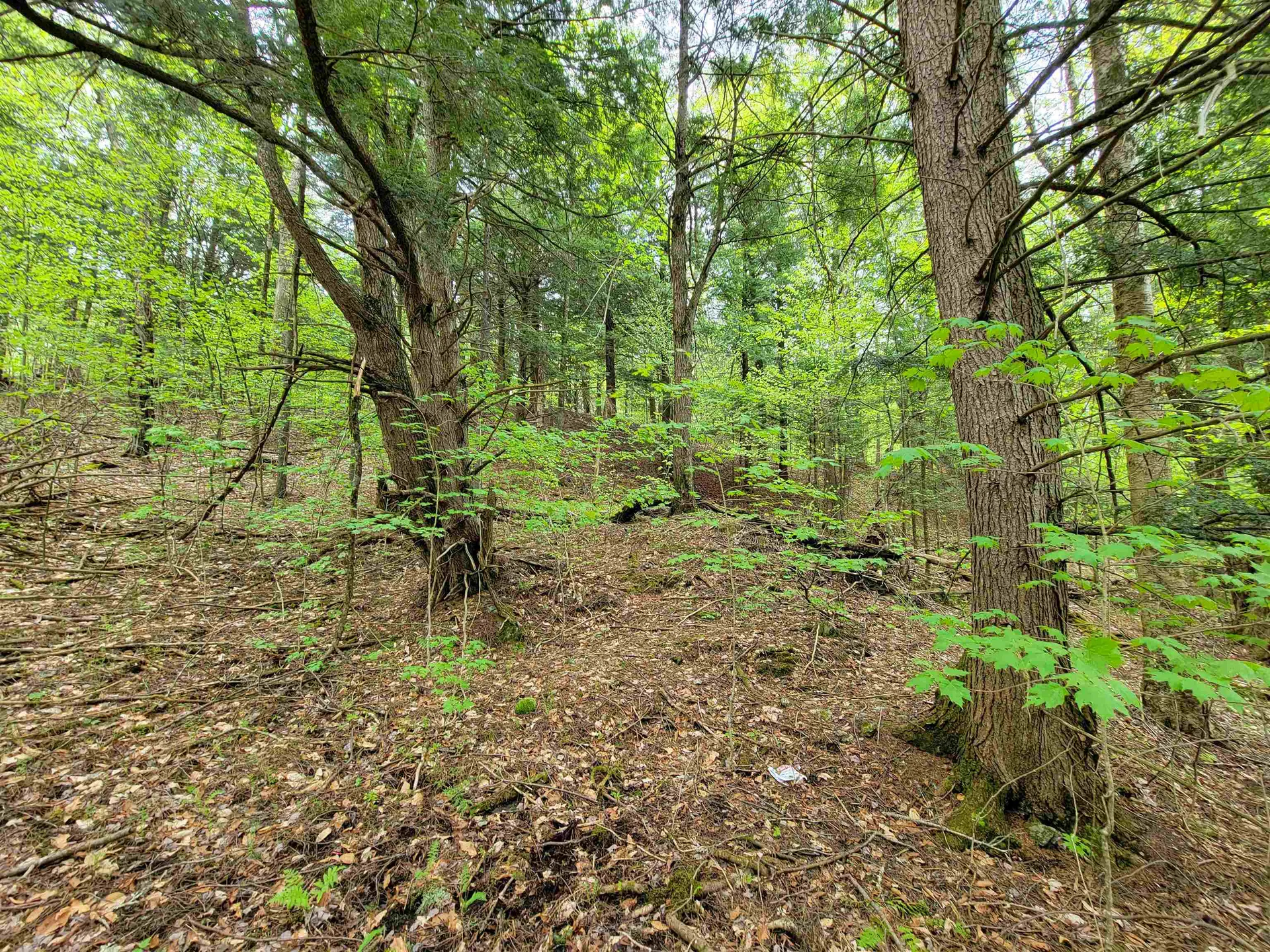 720 Brookview Lane Wolcott VT 05680