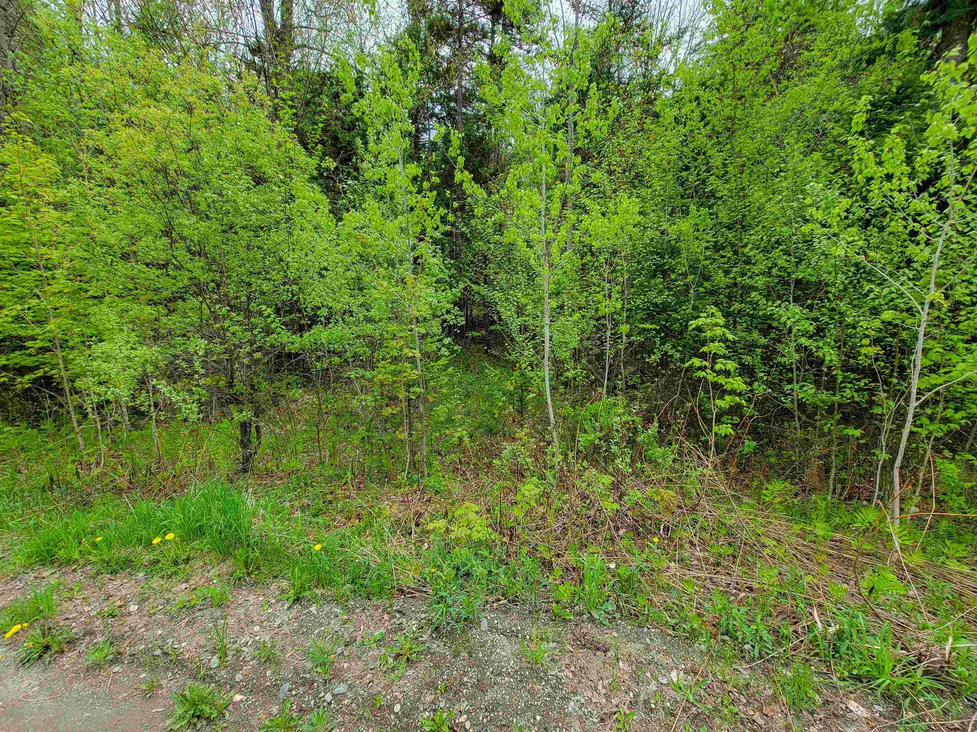 720 Brookview Lane Wolcott VT 05680