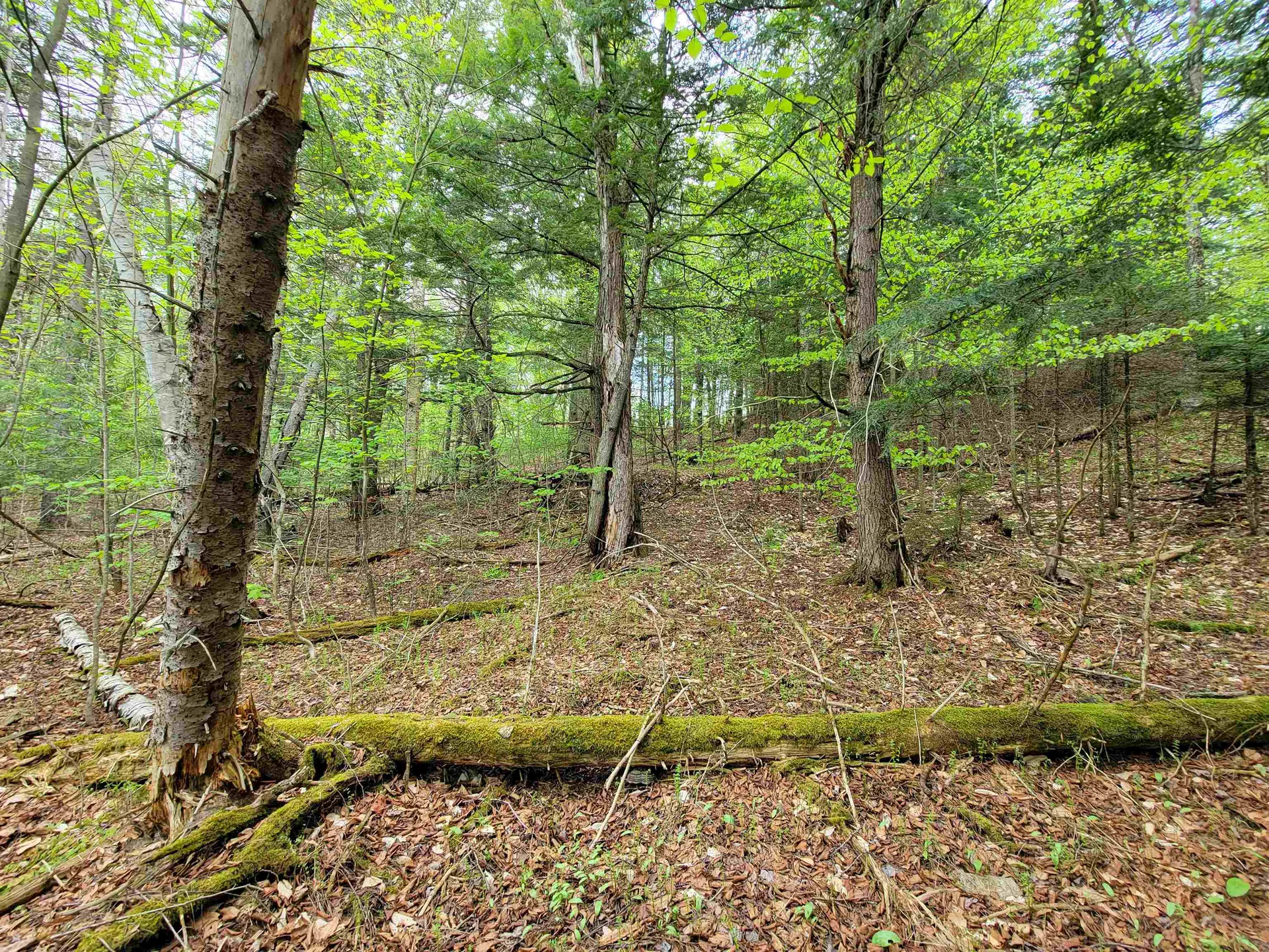 720 Brookview Lane Wolcott VT 05680