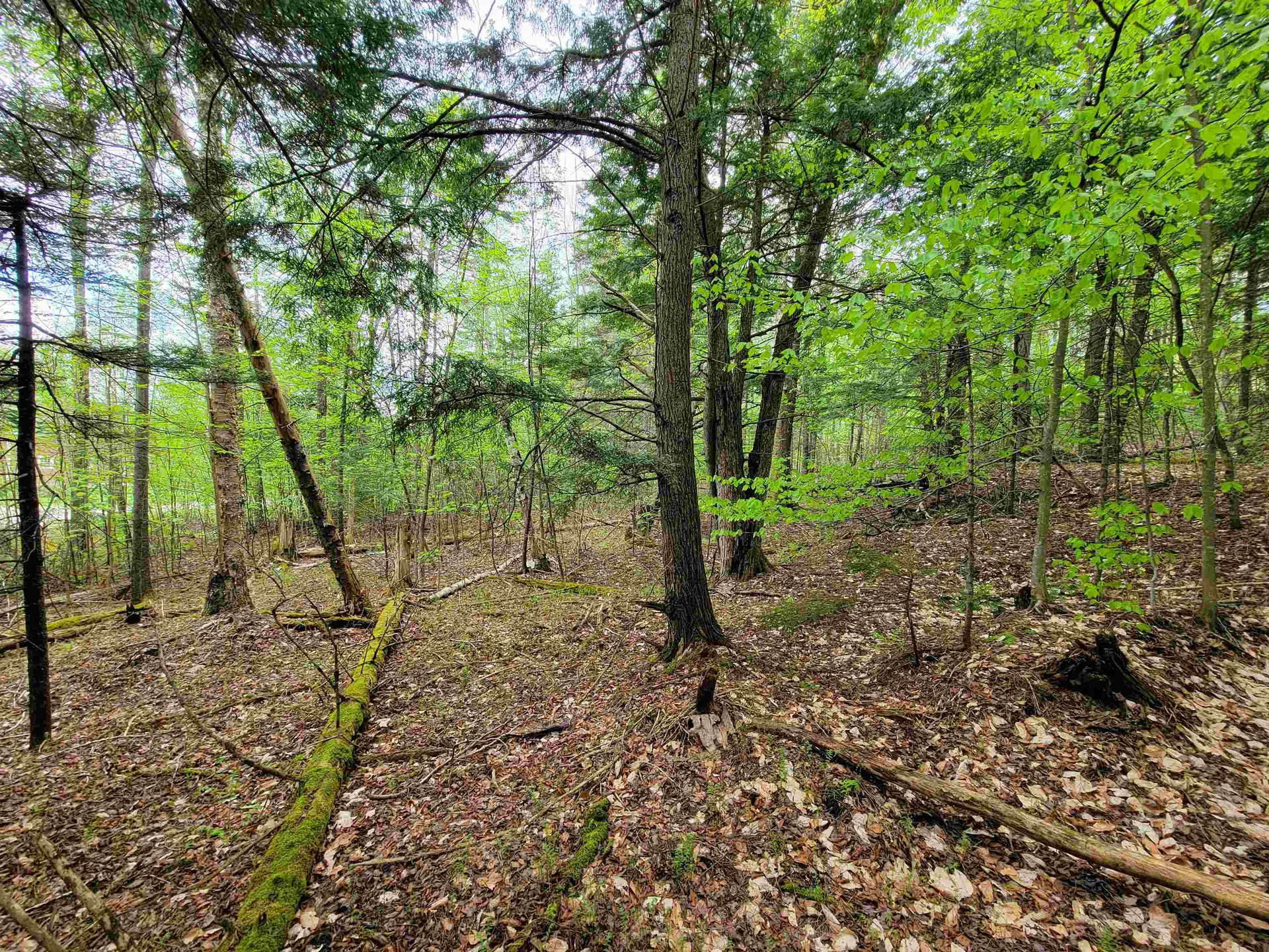 720 Brookview Lane Wolcott VT 05680