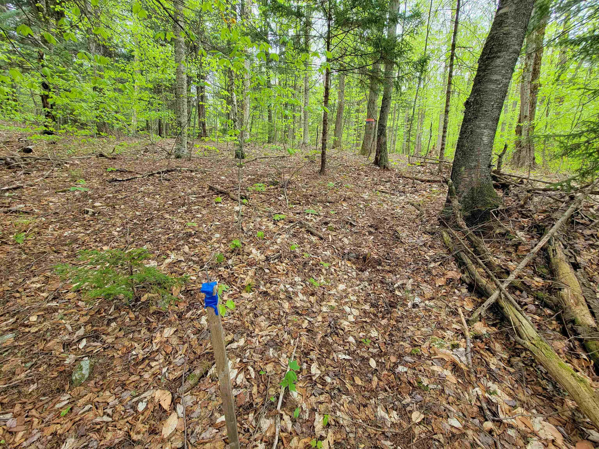 720 Brookview Lane Wolcott VT 05680