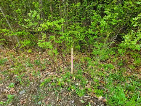 720 Brookview Lane Wolcott VT 05680