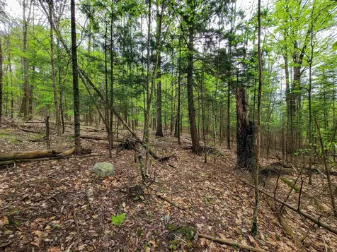 720 Brookview Lane Wolcott VT 05680
