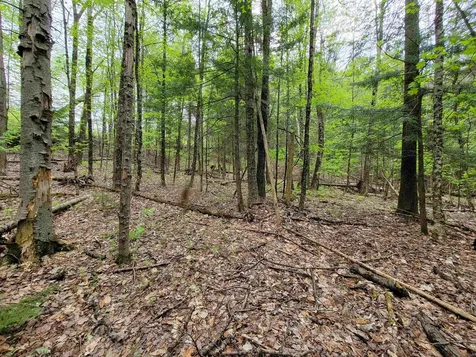 720 Brookview Lane Wolcott VT 05680