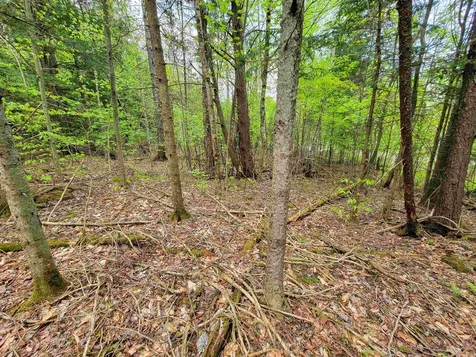 720 Brookview Lane Wolcott VT 05680