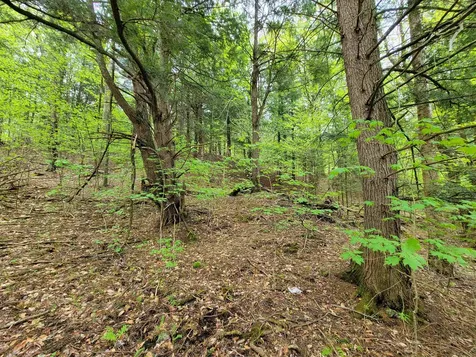 720 Brookview Lane Wolcott VT 05680