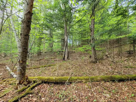 720 Brookview Lane Wolcott VT 05680