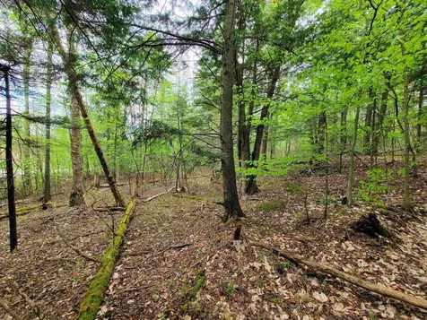 720 Brookview Lane Wolcott VT 05680