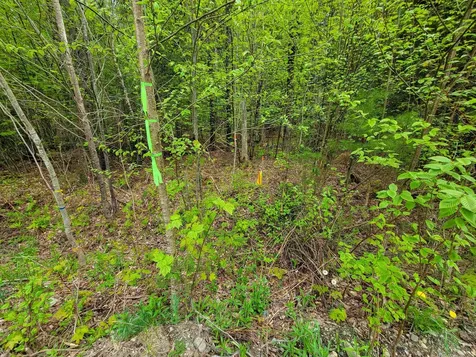 720 Brookview Lane Wolcott VT 05680