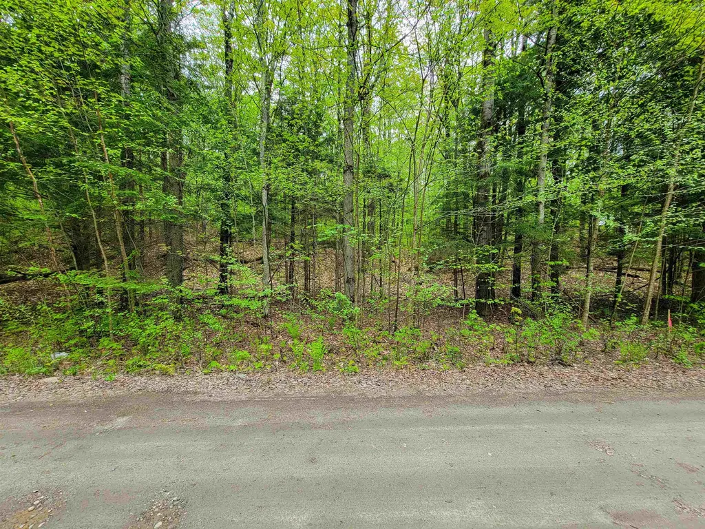 660 Brookview Lane Wolcott VT 05680