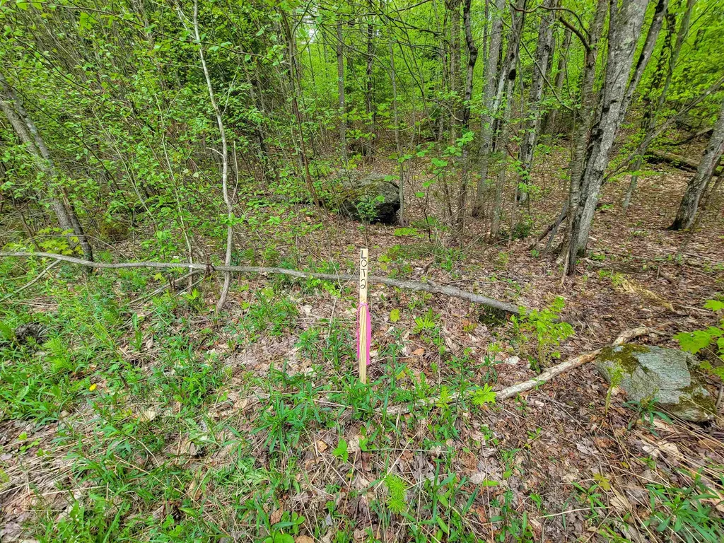 660 Brookview Lane Wolcott VT 05680