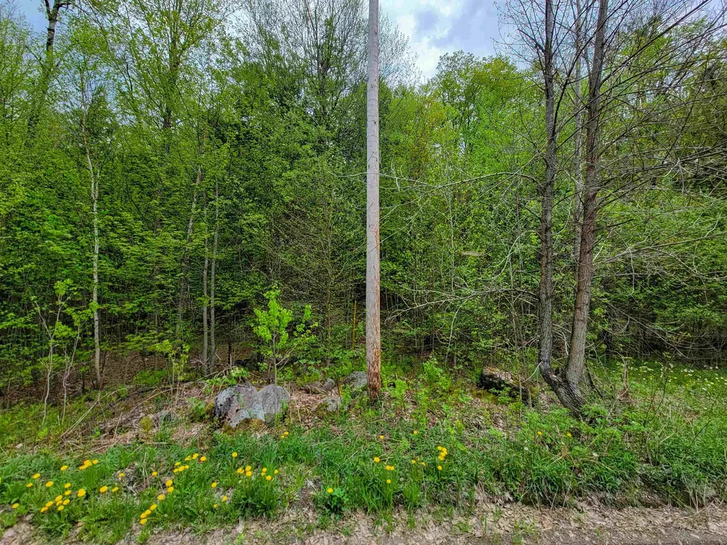 660 Brookview Lane Wolcott VT 05680