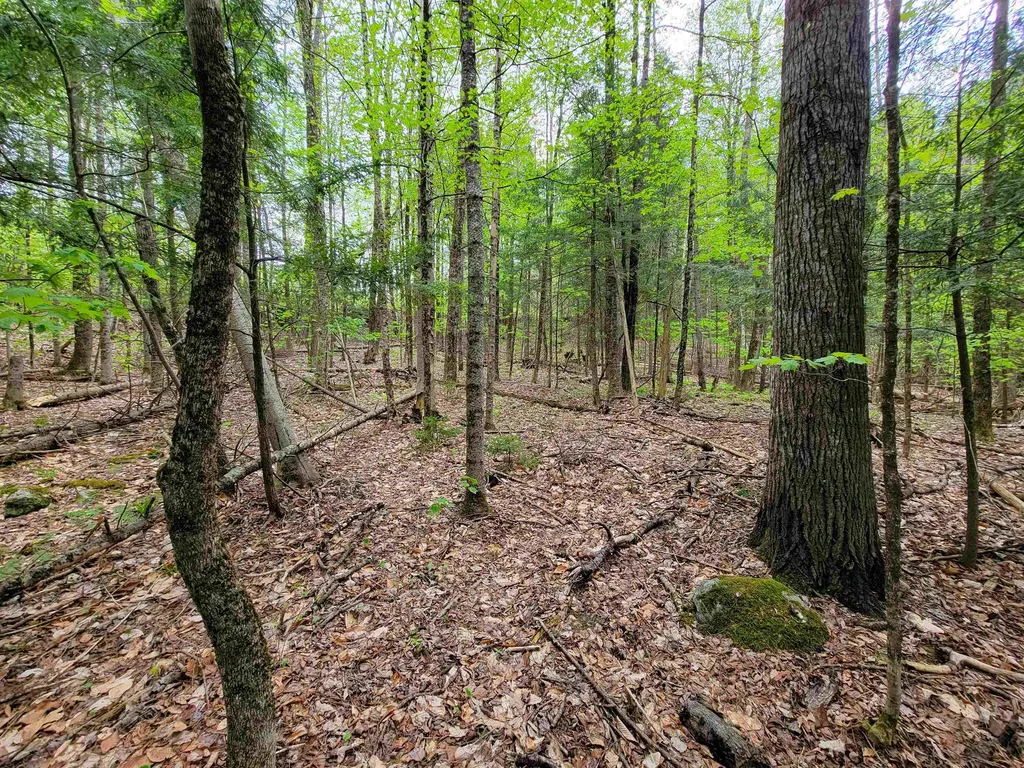 660 Brookview Lane Wolcott VT 05680