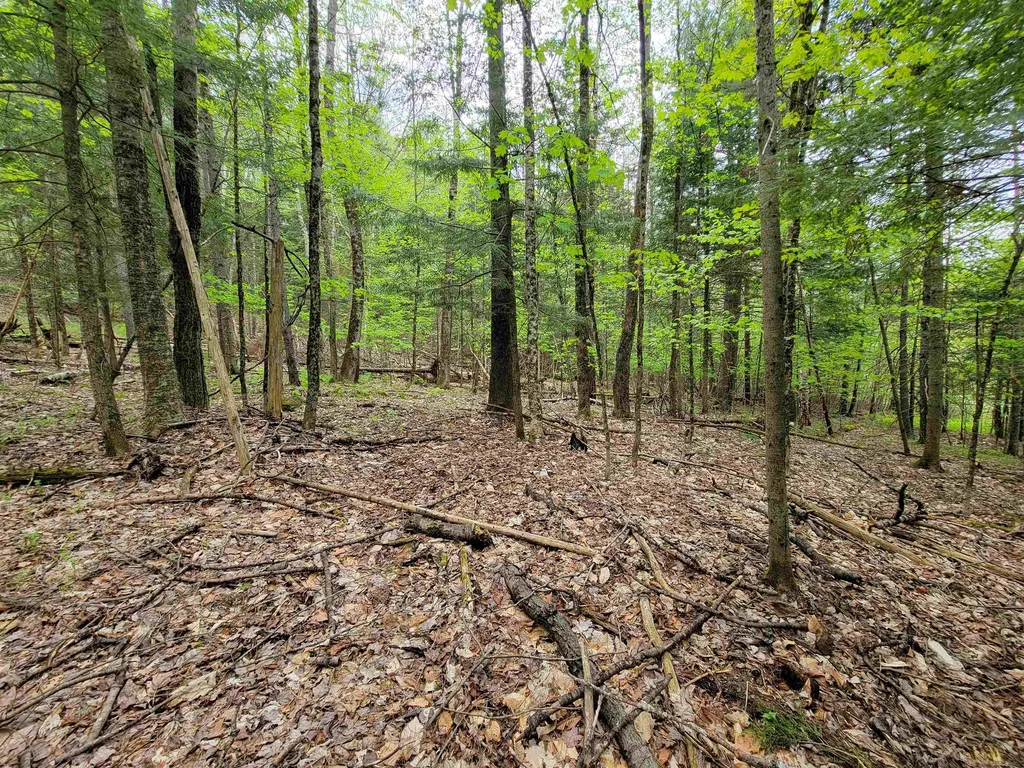 660 Brookview Lane Wolcott VT 05680