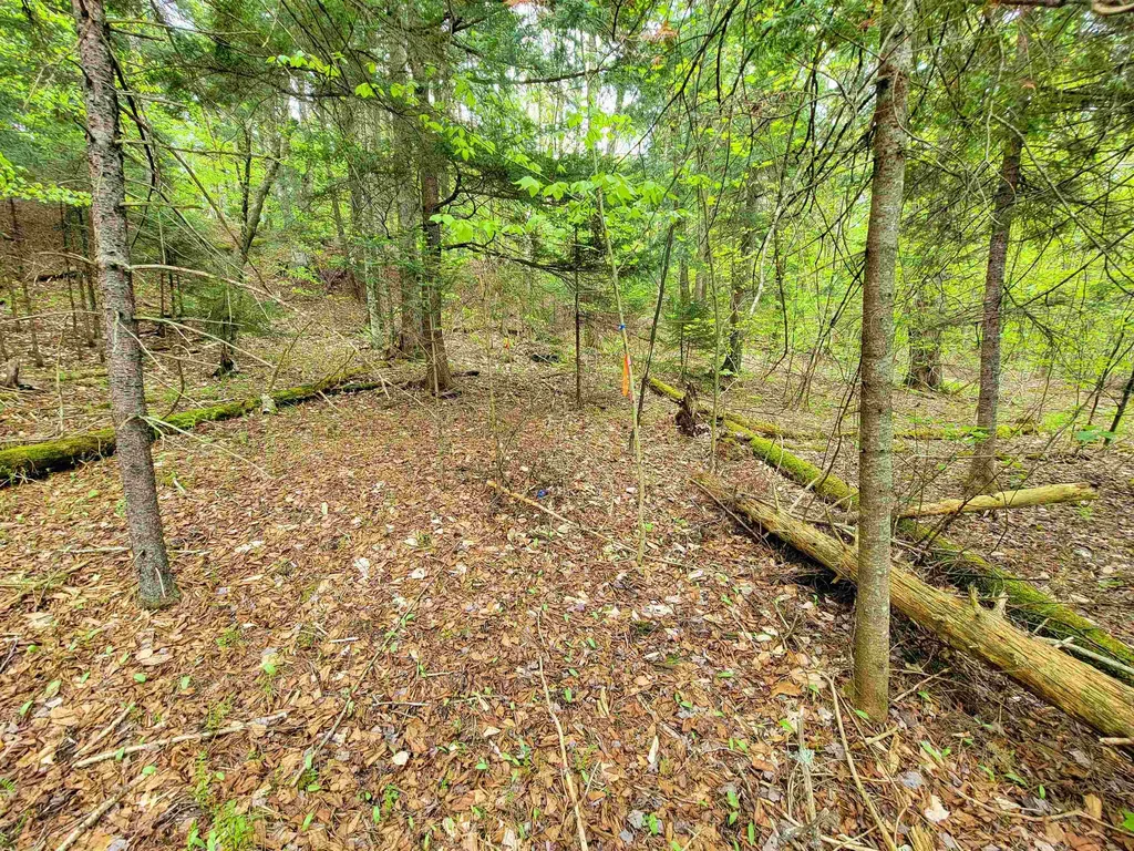 660 Brookview Lane Wolcott VT 05680