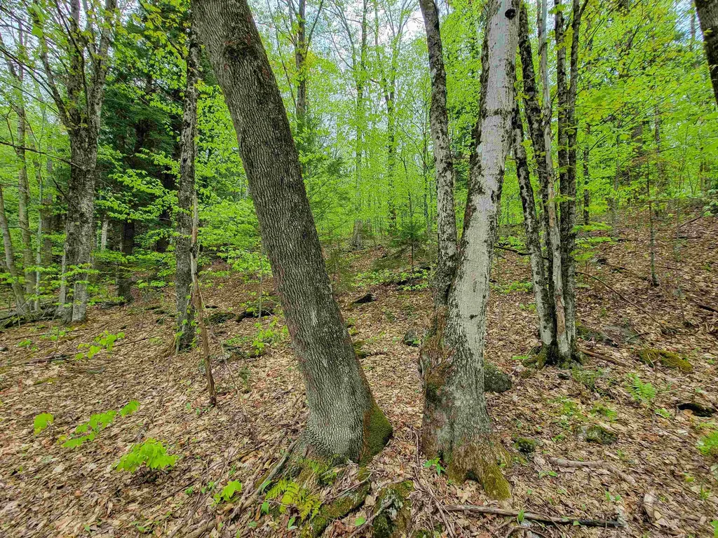 660 Brookview Lane Wolcott VT 05680
