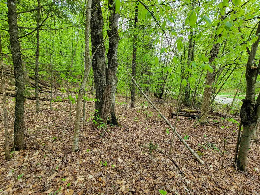 660 Brookview Lane Wolcott VT 05680