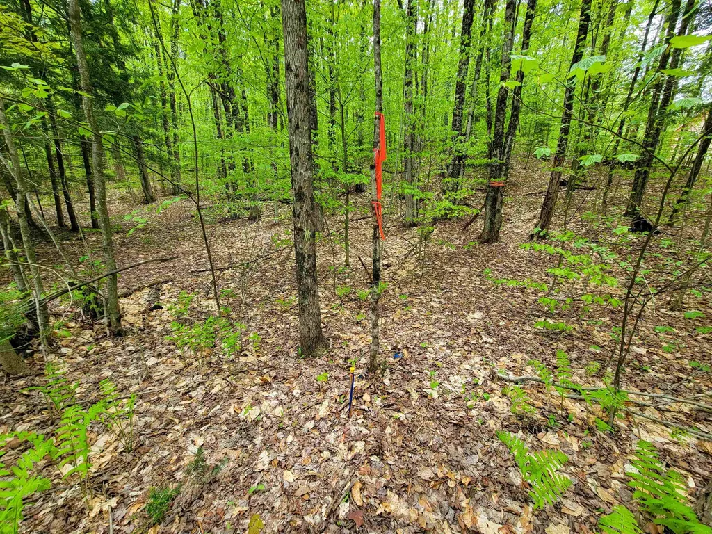 660 Brookview Lane Wolcott VT 05680