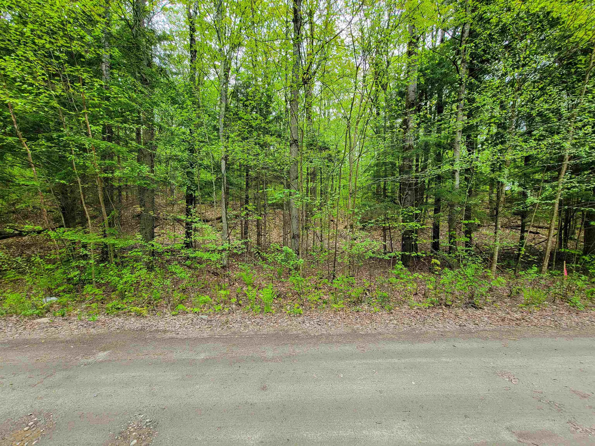 660 Brookview Lane Wolcott VT 05680