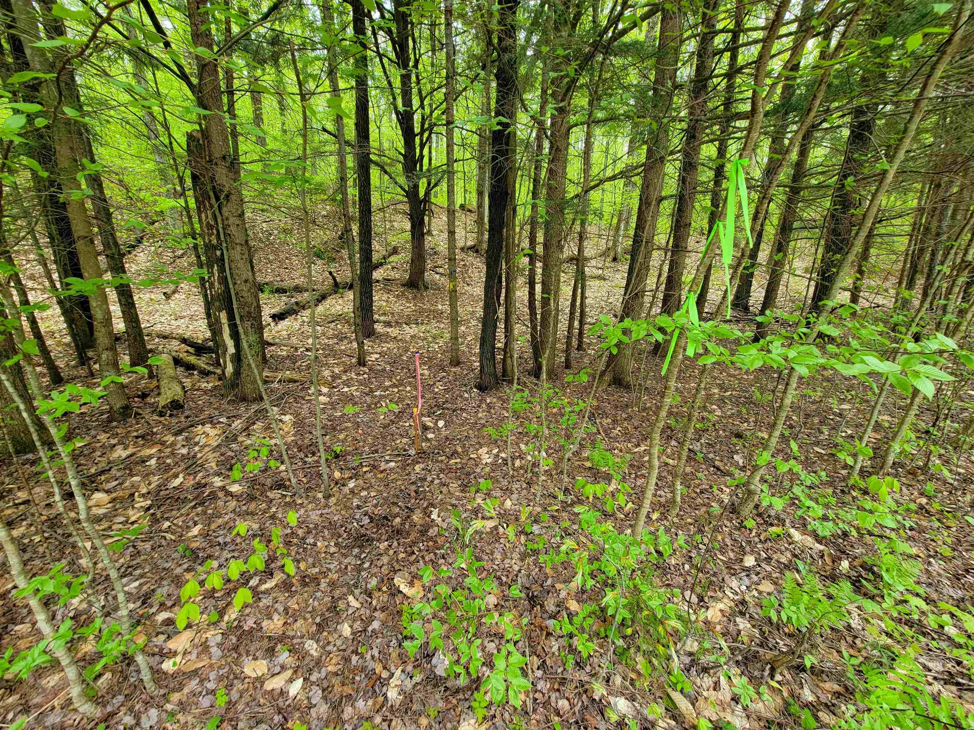 660 Brookview Lane Wolcott VT 05680