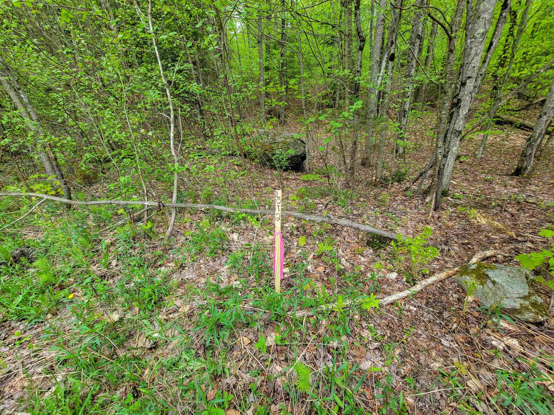 660 Brookview Lane Wolcott VT 05680