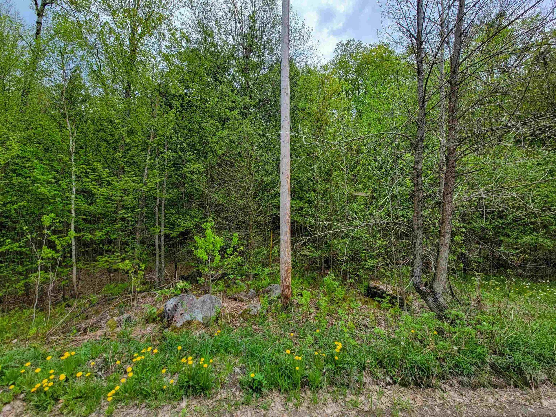 660 Brookview Lane Wolcott VT 05680