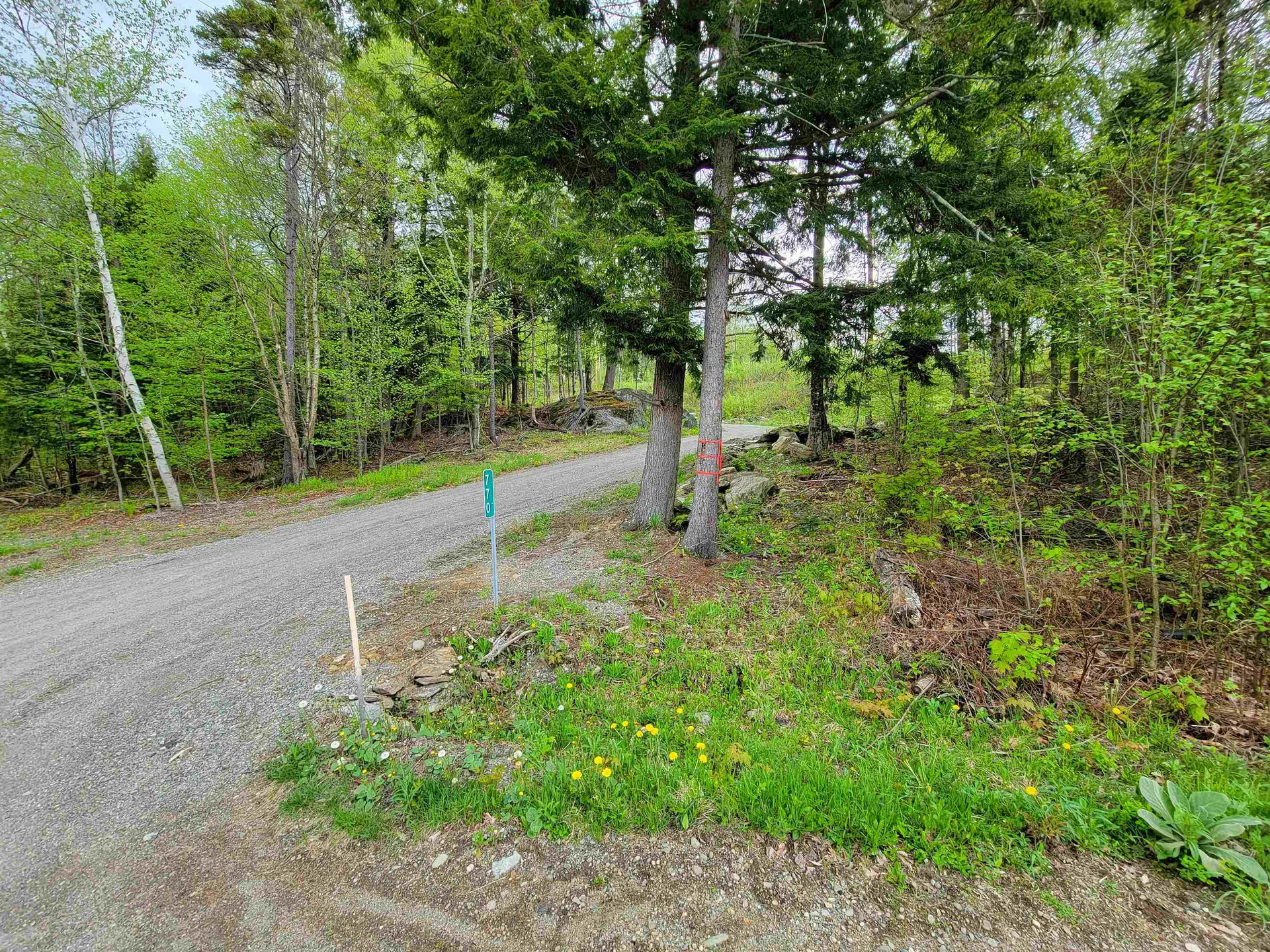 660 Brookview Lane Wolcott VT 05680