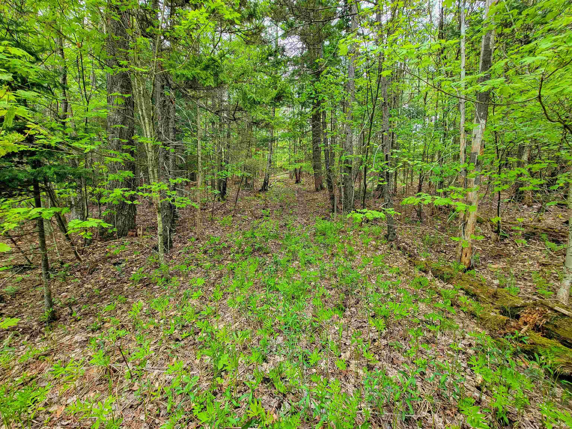 660 Brookview Lane Wolcott VT 05680