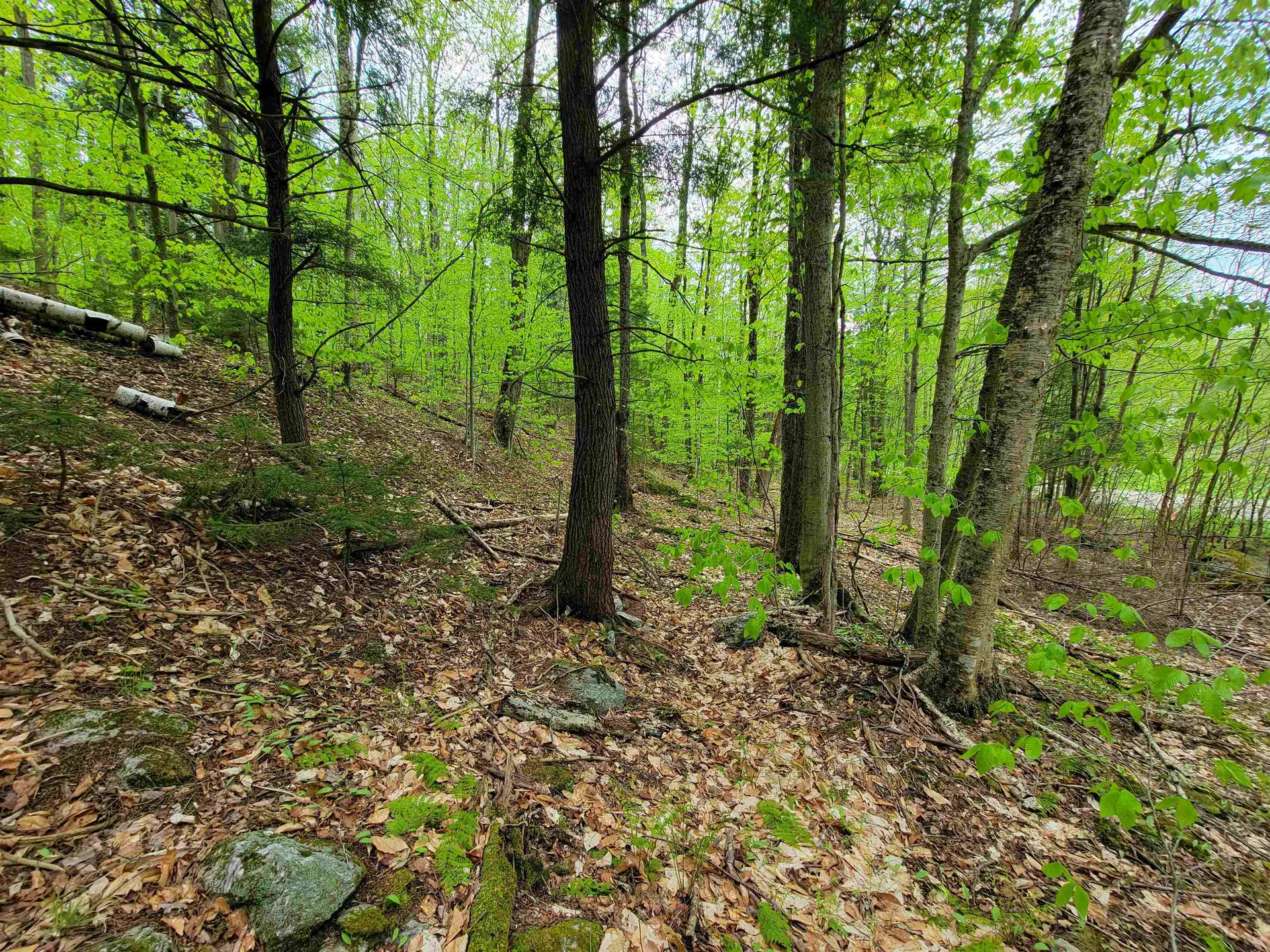 660 Brookview Lane Wolcott VT 05680