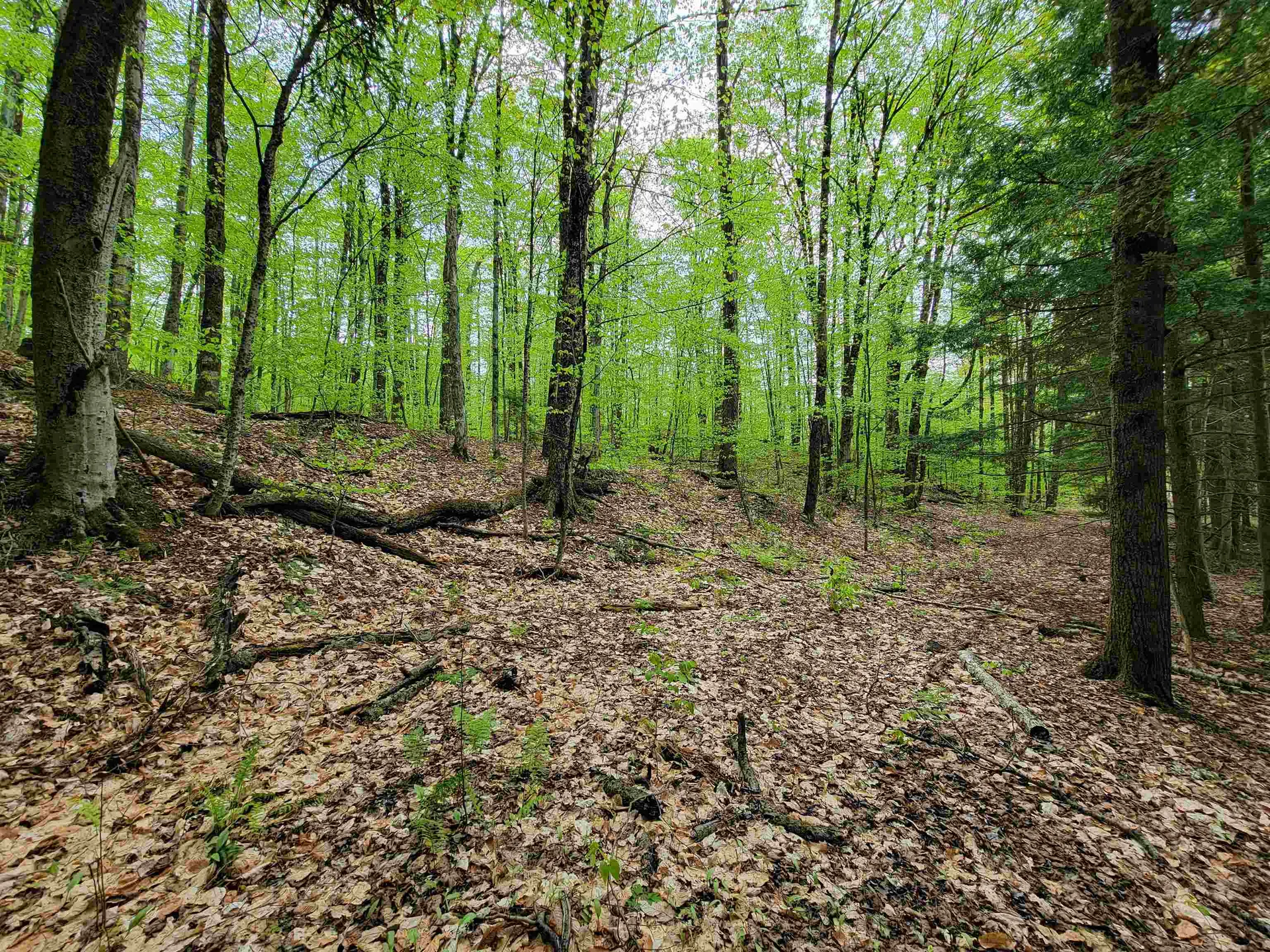 660 Brookview Lane Wolcott VT 05680