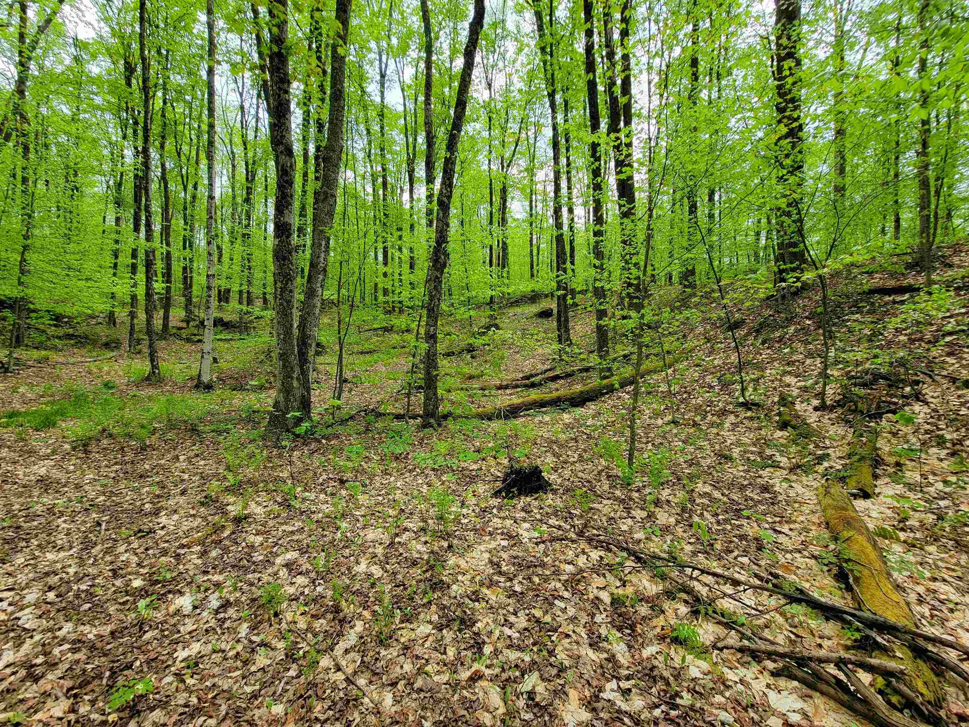 660 Brookview Lane Wolcott VT 05680