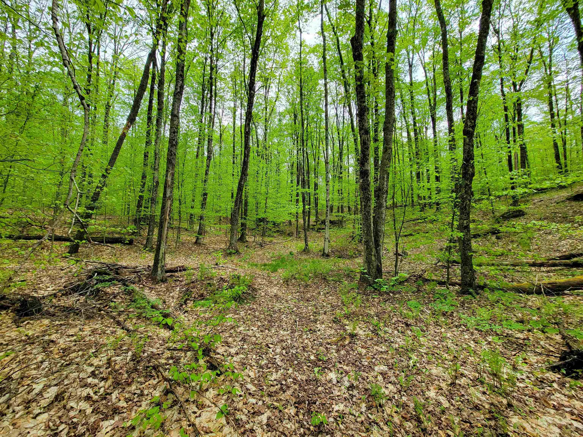 660 Brookview Lane Wolcott VT 05680