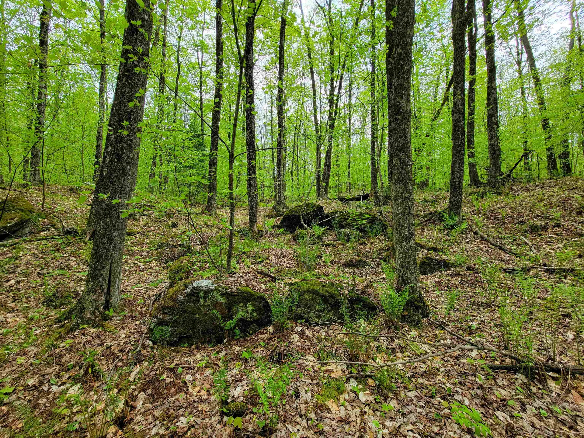 660 Brookview Lane Wolcott VT 05680