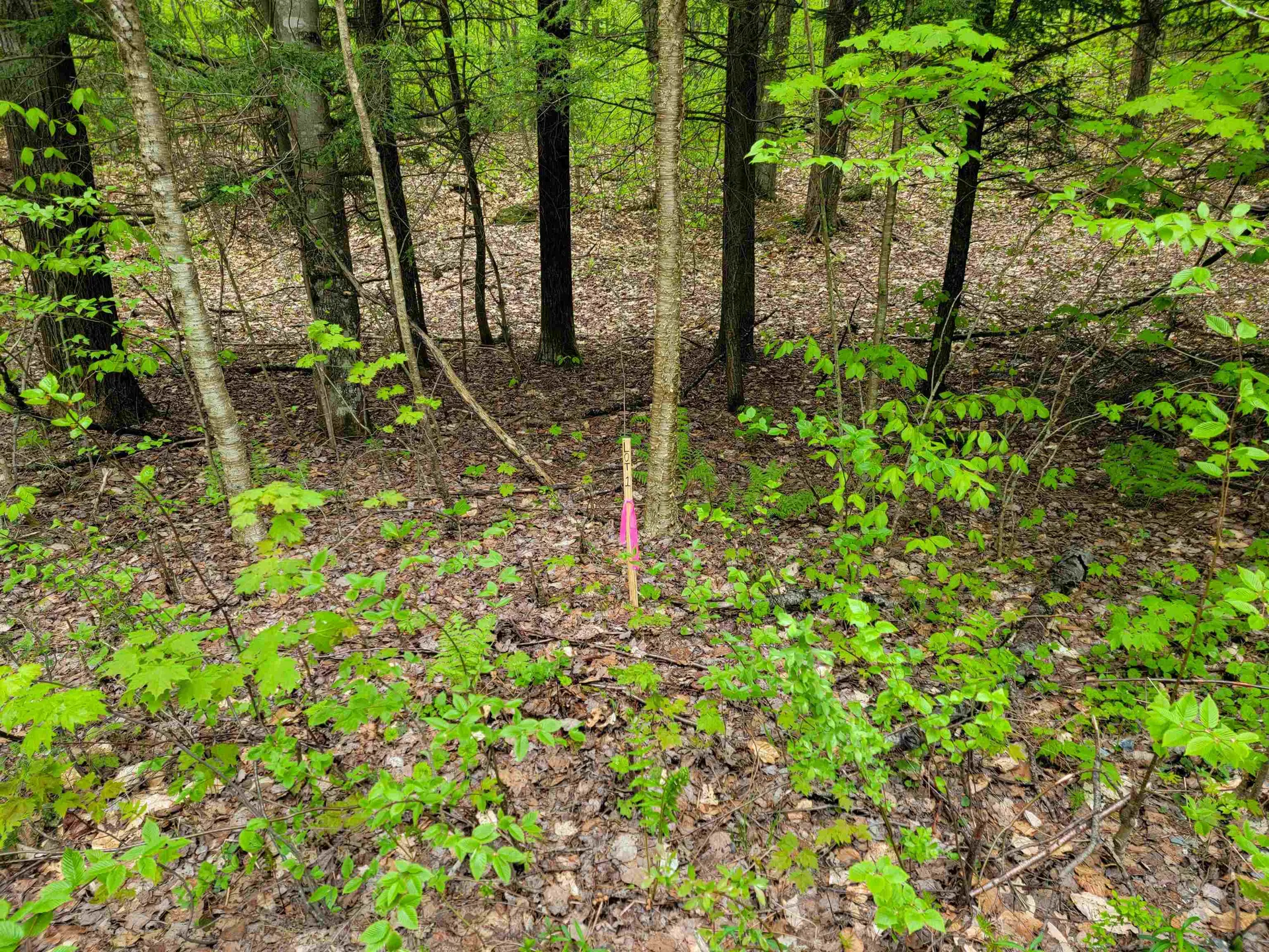 660 Brookview Lane Wolcott VT 05680