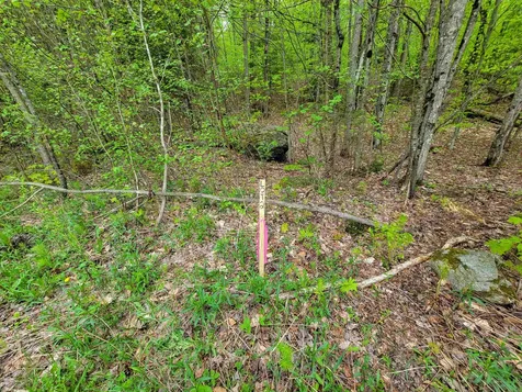 660 Brookview Lane Wolcott VT 05680