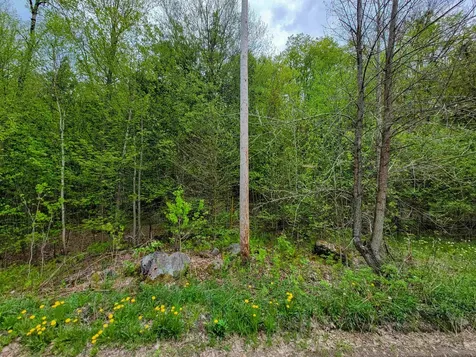 660 Brookview Lane Wolcott VT 05680