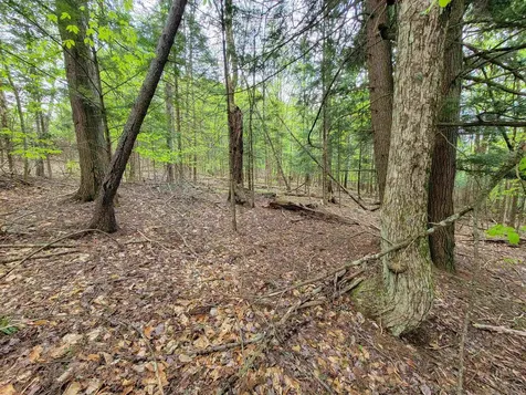 660 Brookview Lane Wolcott VT 05680