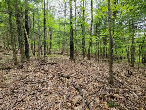 660 Brookview Lane Wolcott VT 05680
