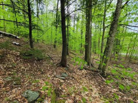 660 Brookview Lane Wolcott VT 05680