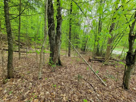 660 Brookview Lane Wolcott VT 05680