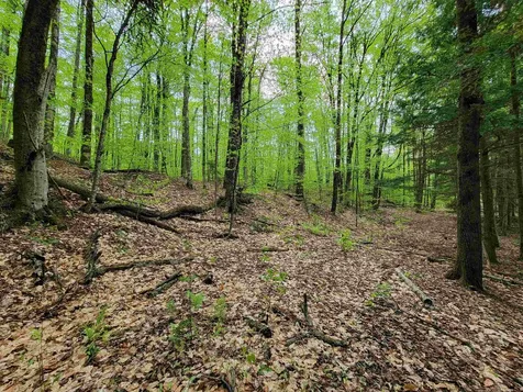 660 Brookview Lane Wolcott VT 05680