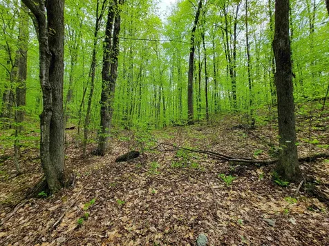 660 Brookview Lane Wolcott VT 05680