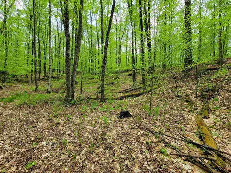 660 Brookview Lane Wolcott VT 05680