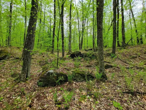 660 Brookview Lane Wolcott VT 05680
